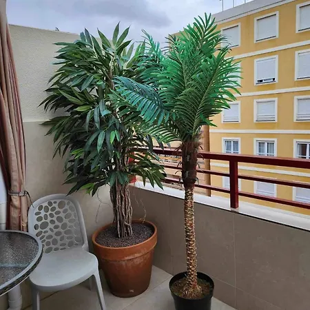 Navegantes I Torrevieja